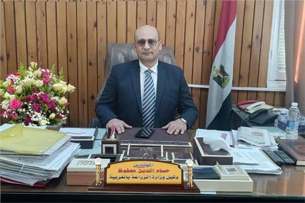 المهندس حسام الدين محفوظ، وكيل وزارة الزراعة بالغربية