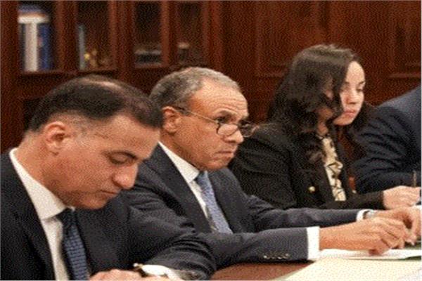 د. بدر عبد العاطي وزير الخارجية  