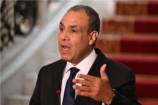 د. بدر عبد العاطي وزير الخارجية  