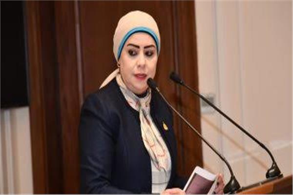 النائبة جيهان شاهين