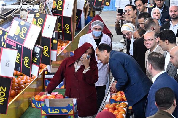 موضوعية