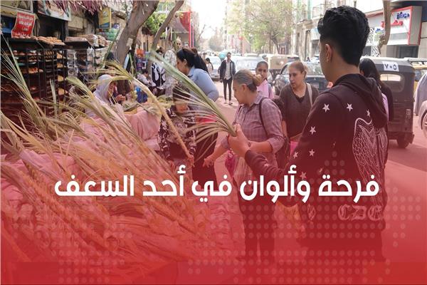 أحد السعف