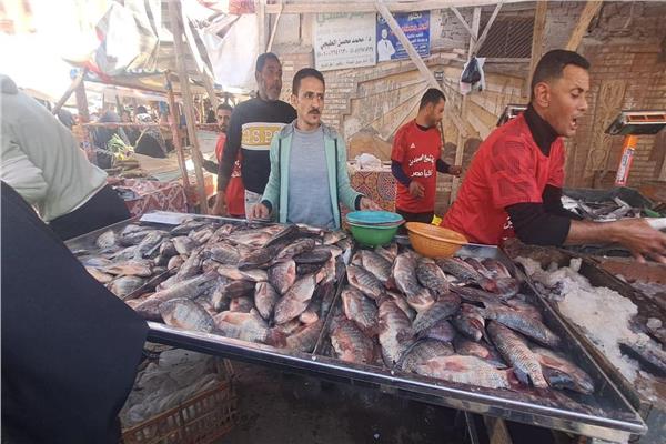 مبادرة «معًا ضد الغلاء» لتوفير الأسماك بأسعار مخفضة