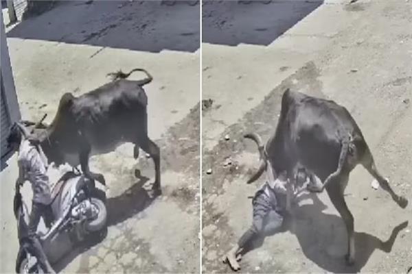 صورة موضوعية