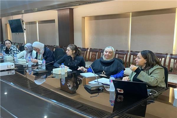 فريق العمل الفنى للجنة الوطنية للقضاء على ختان الإناث يعقد اجتماعه الدوري لمتابعة تنفيذ خطة عملها