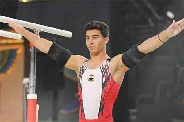 محمد منتصر عفيفي