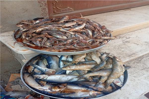 أسماك مملحة فاسدة 