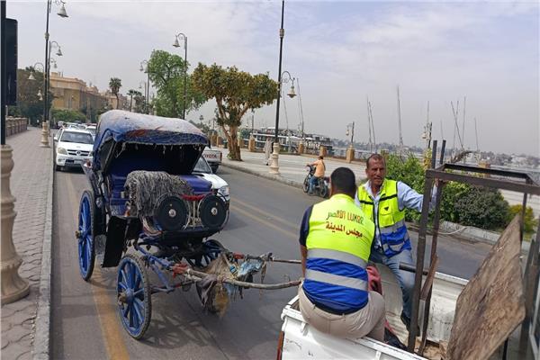 صورة موضوعية