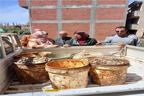 موضوعية