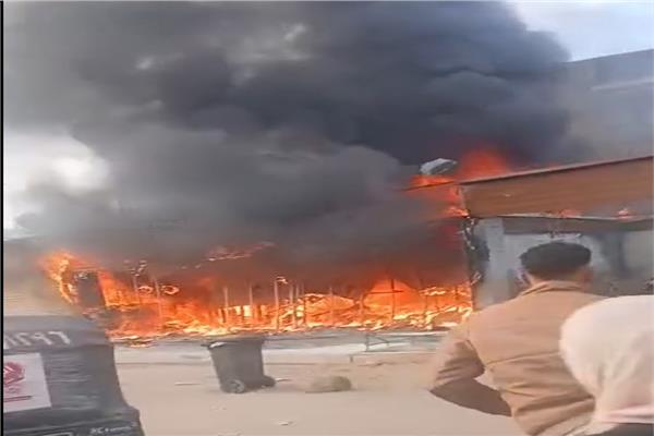صورة موضوعية