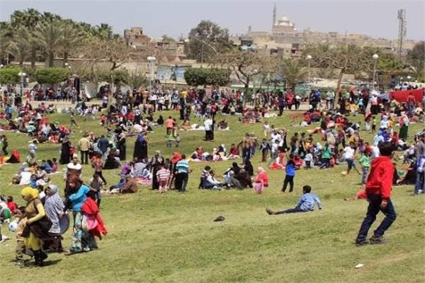 صورة ارشيفية
