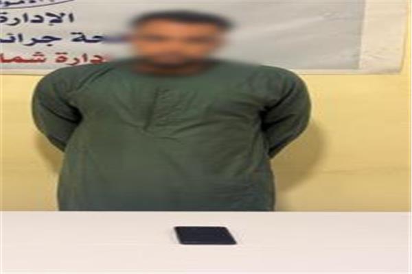موضوعية