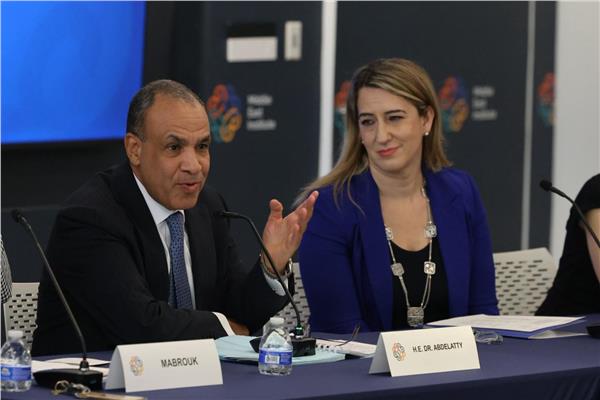وزير الخارجية يستعرض محددات الموقف المصرى من الأزمات الاقليمية في معهد الشرق الأوسط