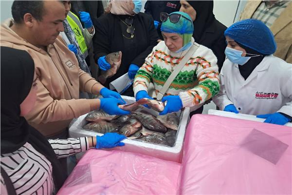 ضبط أسماك غير صالحة للاستهلاك الآدمي