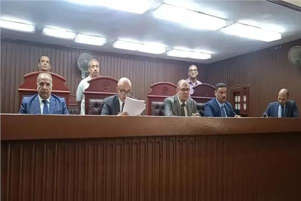 هيئة المحكمة برئاسة المستشار أيمن عفيفى سالم