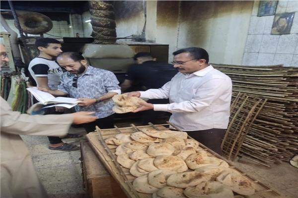 تموين المنيا