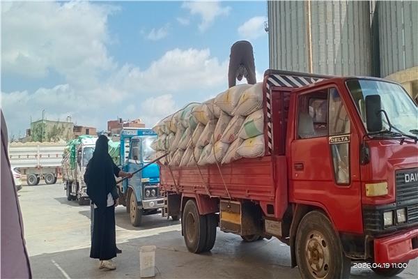 موسم التوريد للقمح