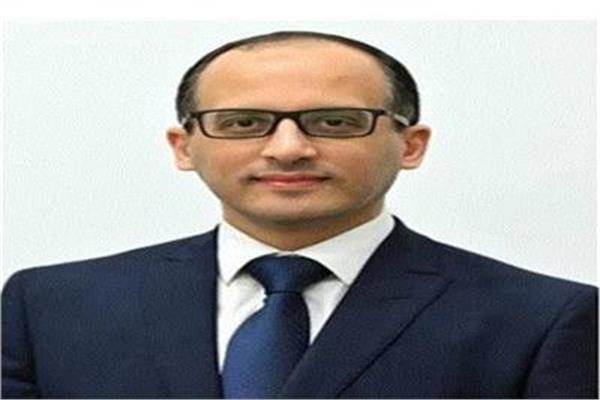  المستشار محمد الحمصاني
