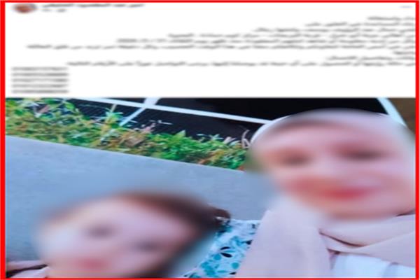 المنشور المشار الية
