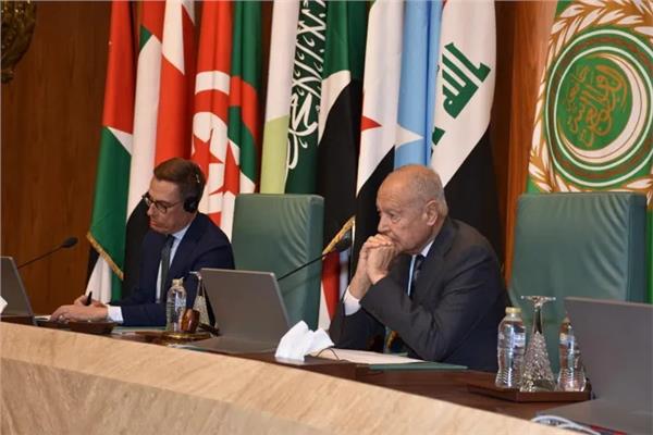 الأمين العام لجامعة الدول العربية أحمد أبو الغيط والرئيس الفنلندي ألكسندر ستوب