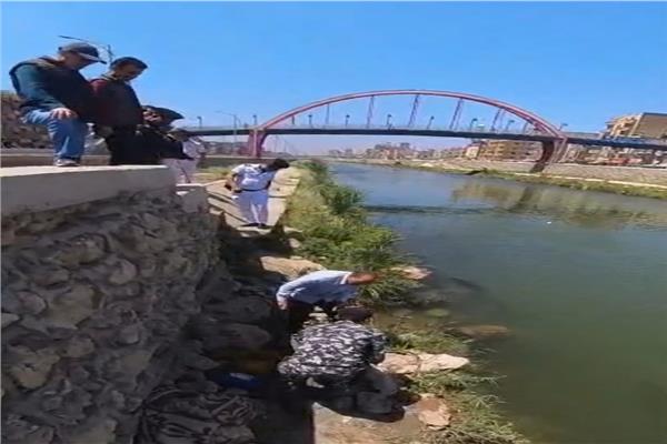 صورة موضوعية