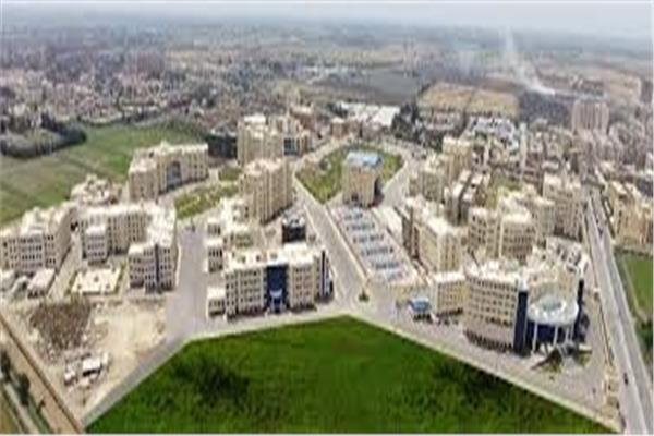 جامعة كفر الشيخ 