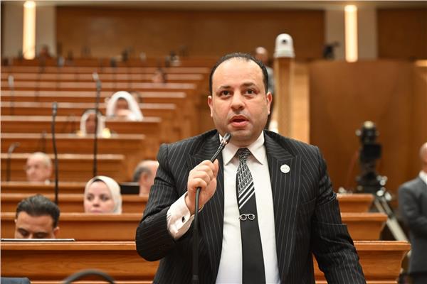  النائب وليد خطاب عضو مجلس النواب
