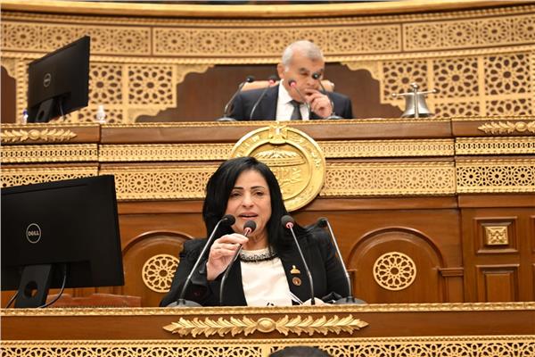 النائبة ميرال جلال الهريدي
