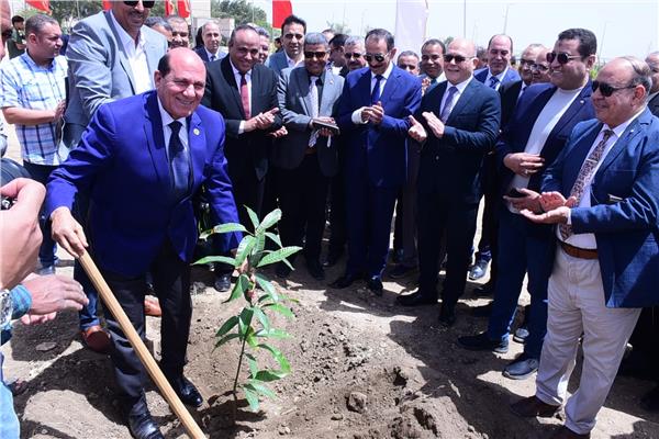 راشد والنعماني يزرعان  أشجار الزيتون