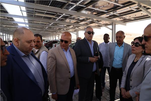 المهندسة راندا المنشاوي