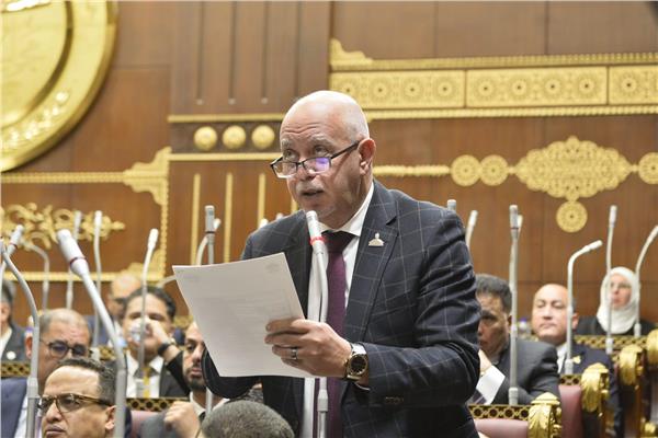 النائب المهندس حازم الجندي
