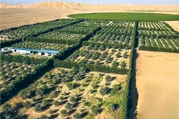 الإنتاجية الزراعية بالبيئات الصحراوية