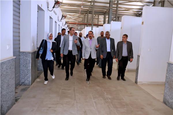 صورة موضوعية