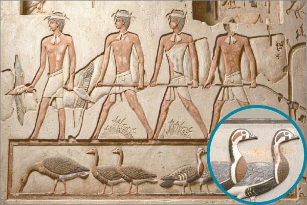 لوحة «أوز ميدوم» موناليزا الفن المصرى