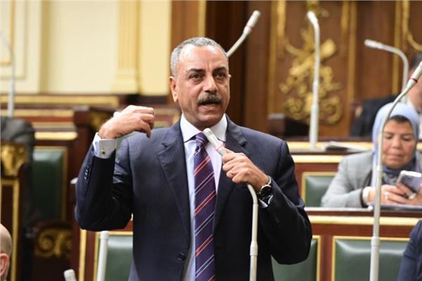إيهاب الطماوي عضو المجلس القومي لحقوق الإنسان