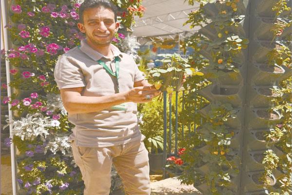 المهندس عبدالرحمن جاد يستعرض نظام الزراعة الرأسية