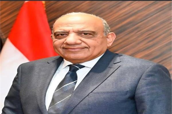 الدكتور محمود عصمت وزير الكهرباء والطاقة المتجددة