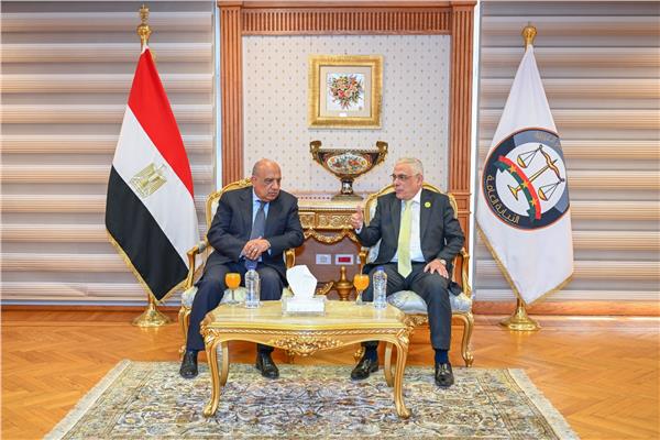النائب العام ووزير الكهرباء على هامش توقيع بروتوكول تعاون لتأهيل مأموري الضبط القضائي