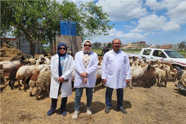 قوافل بيطرية مجانية