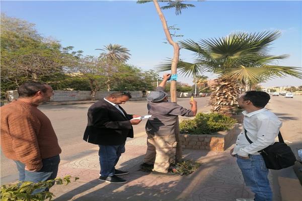 أبو حطب يتابع بدء منظومة "تكويد وترقيم الأشجار" 