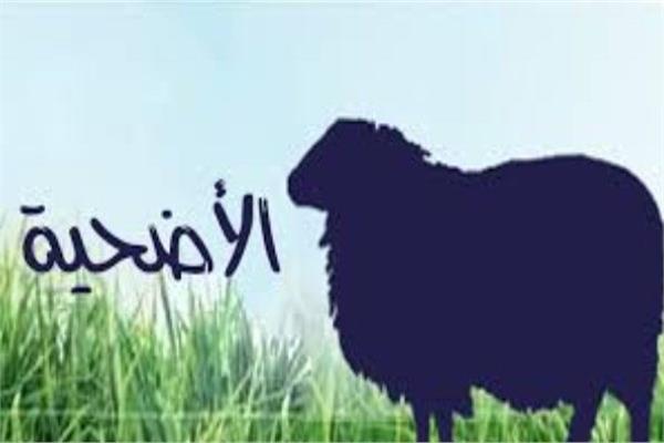 الأضحية 