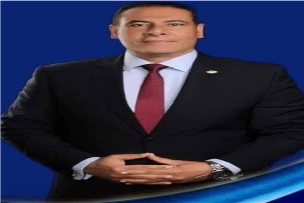 المستشار حمزة فؤاد