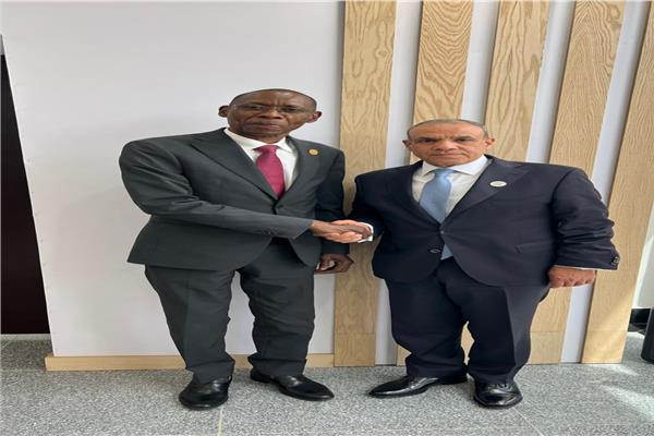وزير الخارجية يلتقي نظيره السنغالي 