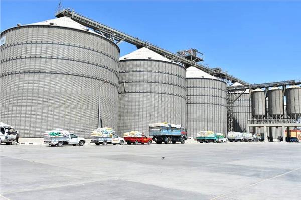 توريد القمح 