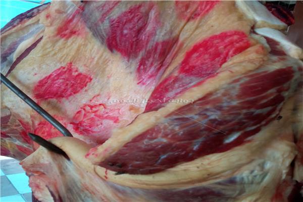 الرقابة على الأسواق والمجازر ومنافذ بيع اللحوم