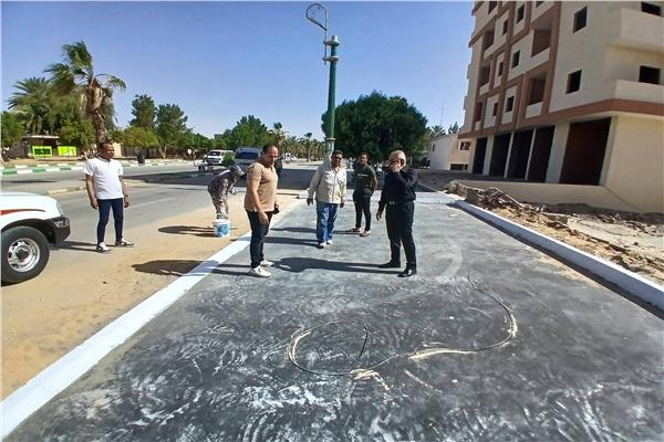 محافظة الوادي الجديد