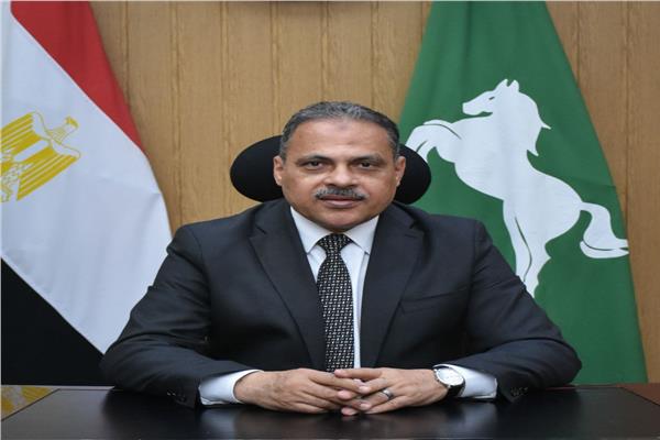 جانب من الفاعلية