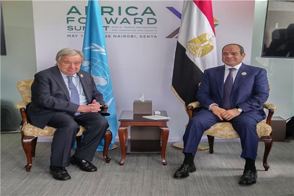 الرئيس السيسي وجوتيريش