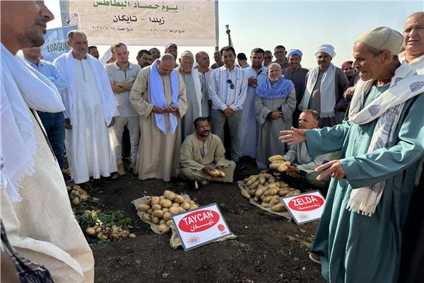 صورة موضوعية