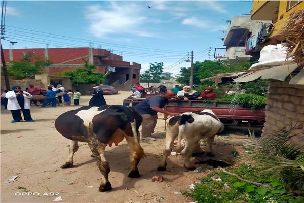 مستقبل وطن يطلق قافلة بيطرية